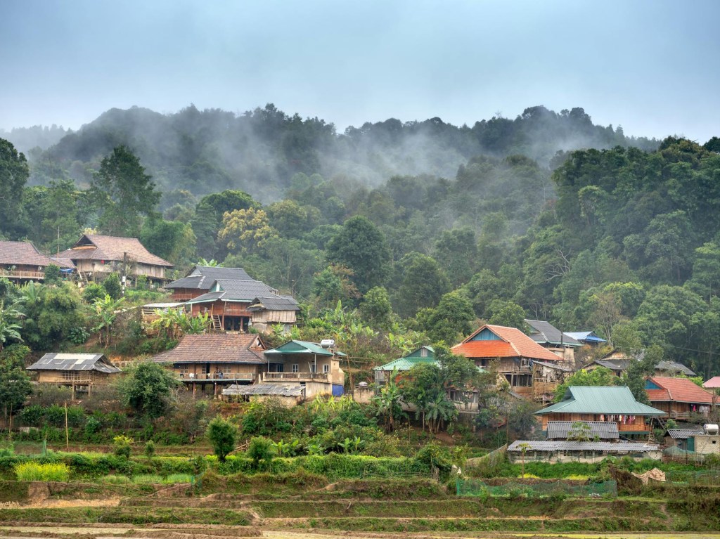 green trees and houses under the thick fog