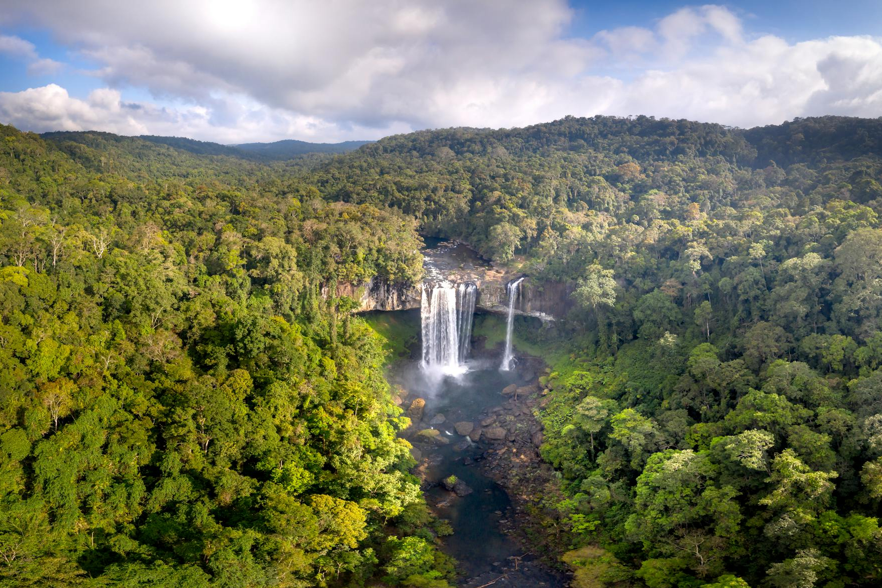 aerial view of the waterfall in the forest