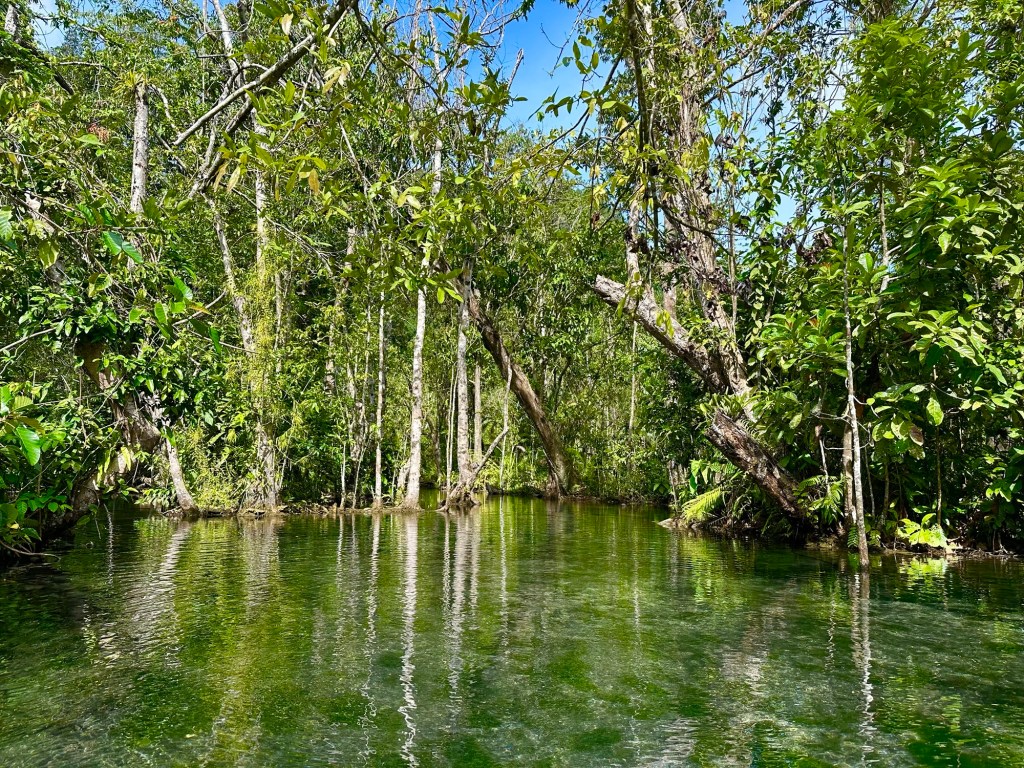 A serene view of a clear, tranquil lake surrounded by dense green rainforest in Khao Sok, Thailand, with reflections of trees on the water's surface.
