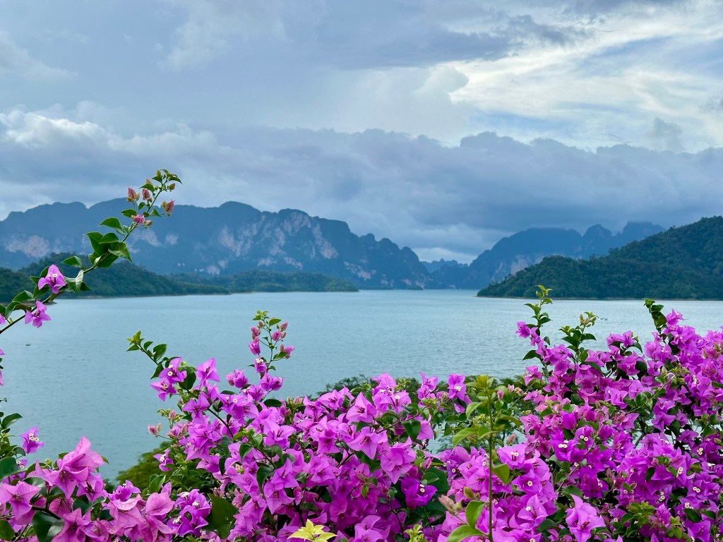 A picturesque view of Khao Sok Lake framed by vibrant pink bougainvillea flowers, with limestone karst formations and lush greenery in the background under a moody sky.