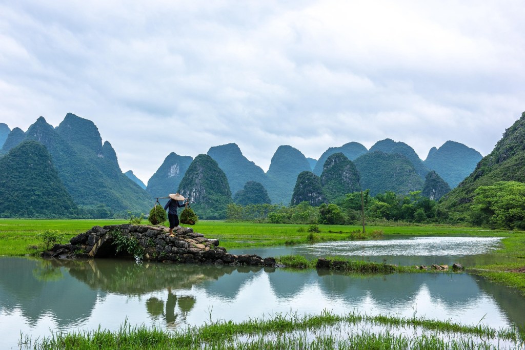 A farmer walking across a stone bridge in a lush green rice field, with majestic karst mountains in the background under a cloudy sky.